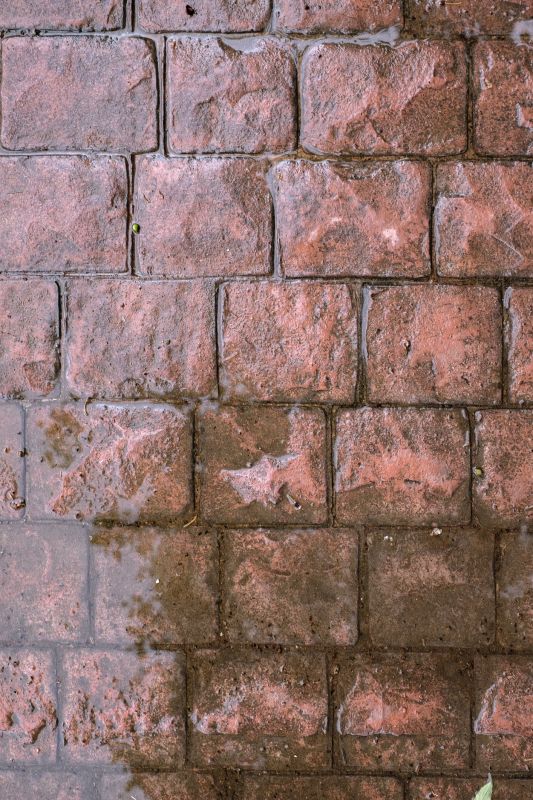 Decorative Concrete Repair in Venice, FL